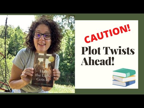 Amish & Mennonite Books: "How the Light Gets In" by Jolina Petersheim