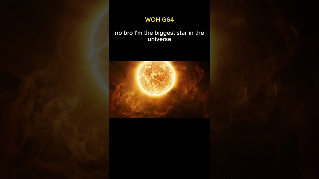sun vs woh g64 vs stephenson 2-18        (the biggest star in the universe)