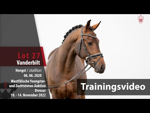 Online-Auktion Trainingsvideo Lot 27 Vanderbilt Hengst v. Vaderland - Fidertanz