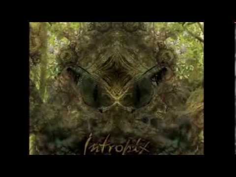 Troglodytes - potine lotion