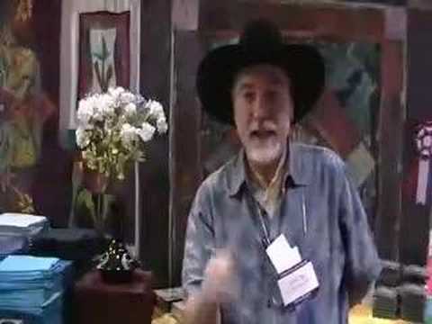 BOOK TRAILER: Convergence Quilts