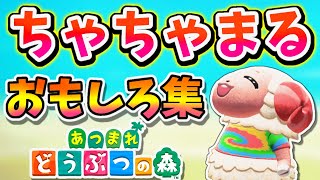可愛すぎる！ちゃちゃまるによる面白集！【あつまれどうぶつの森】【あつ森】【どう森】【どうぶつの森】