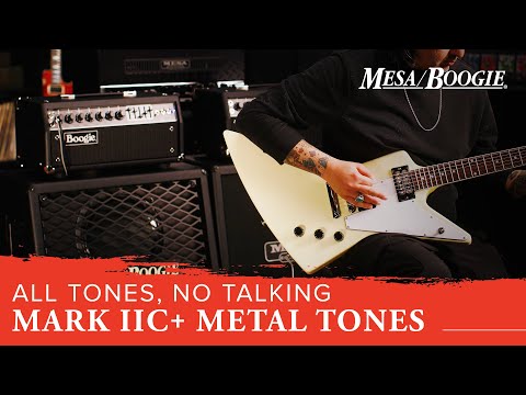 Mesa Boogie Mark IIC+ Head image 3
