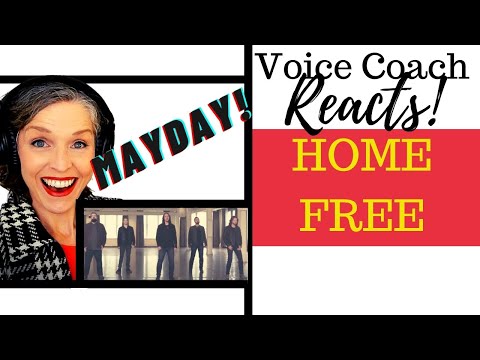 Cam - Mayday (Home Free Cover) Vocal Coach Reacts & Deconstructs
