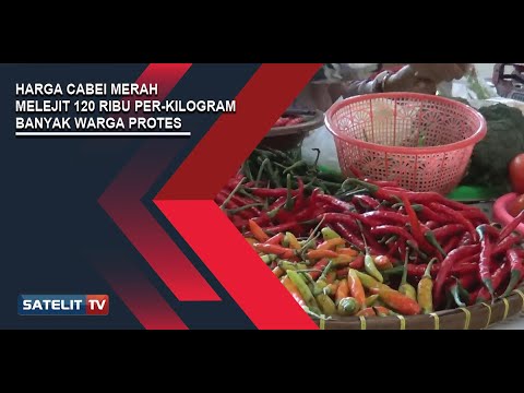 HARGA CABEI MERAH MELEJIT 120 RIBU PER KILOGRAM, BANYAK WARGA PROTES