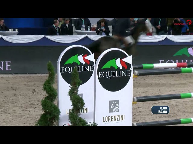 Embryo is Half brother / sister CSI 5* 1.65m horse Cold Play with rider Fredrik Jonsson.