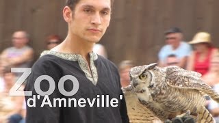 preview picture of video 'Greifvogelshow im  Zoo d' Amneville'