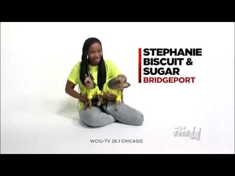 Biscuit and Sugar Dog Commercial