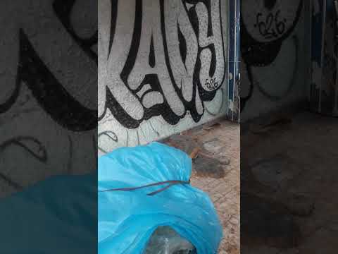 NEGRO FUTURO EN SANTA MARTA MAGDALENA