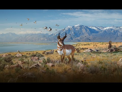 Secrets of Great Salt Lake | Official Trailer 4K | SK Films