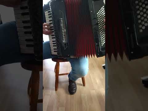 Serenellini 5/5 -3glasni mussete