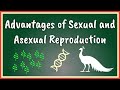 Advantages of Sexual and Asexual Reproduction
