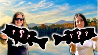 Insane day of Bass Fishing! (BIG Fish)
