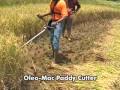 OleoMac Paddy Cutter Wmv