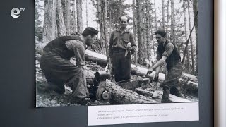 110 години от създаването си отбеляза Държавното горско стопанство в Смолян
