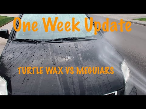 Turtle Wax vs Meguiars (One Week Update )
