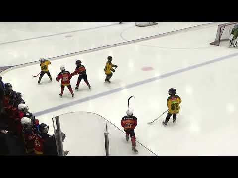 KOOVEE - Ilves 7, U8 peli, Tesoma 12.3.2023