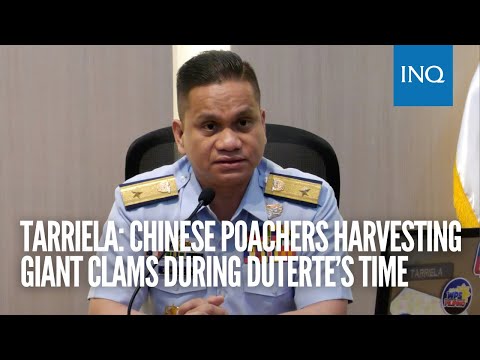 Tarriela: Chinese poachers harvesting giant clams during Duterte’s time