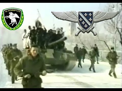 ⚜️⚔ Bosnian Fifth Corps