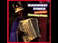 Buckwheat Zydeco - Turning Point
