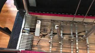 Video thumbnail for Williams pedal steel guitar by Ron Hogan