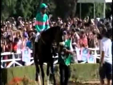 Zenyatta's Pre-Race Paddock Dance Lady's Secret 2010