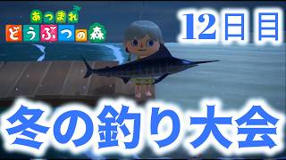 夏だけど……冬の釣り大会!!【あつまれどうぶつの森】完全初見!?島生活12日目　ゲリラ配信