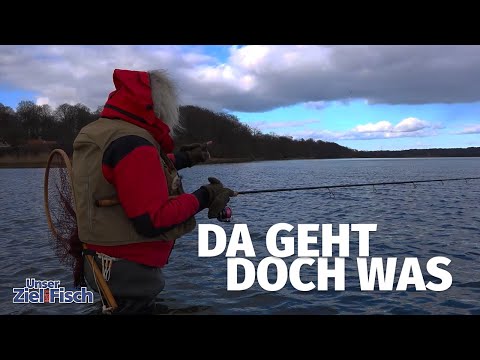 WET BOTTOMS for SEA TROUT - On the coast with Jörg Ovens - Our goal is fish