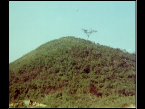 A Mike Company Marine in Vietnam—1968