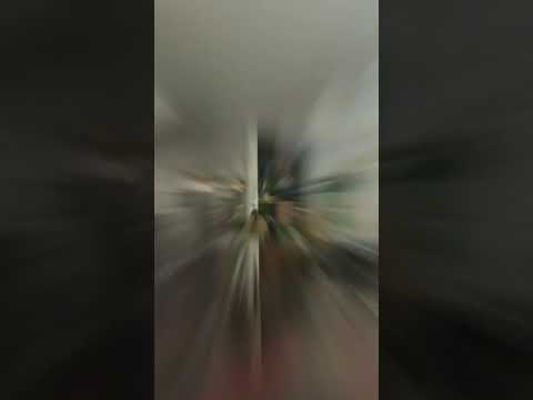 Jardim dos Estados / São Paulo