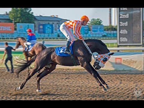 93. Srpski galopski #Derby - #ElDorado i džokej Aleksandar Šašić