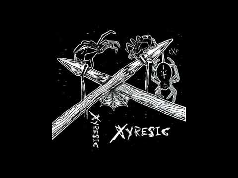 XYRESIC - Privilegios