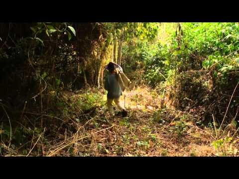 Puerto Paticuá (2015) [Trailer]