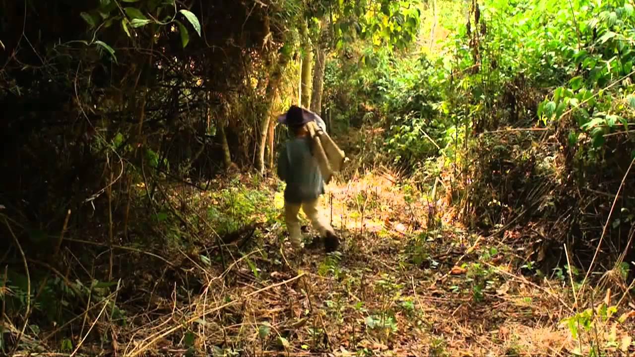 Puerto Paticuá (2015) [Trailer]