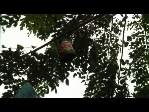 Naga yang Berjalan di Atas Air