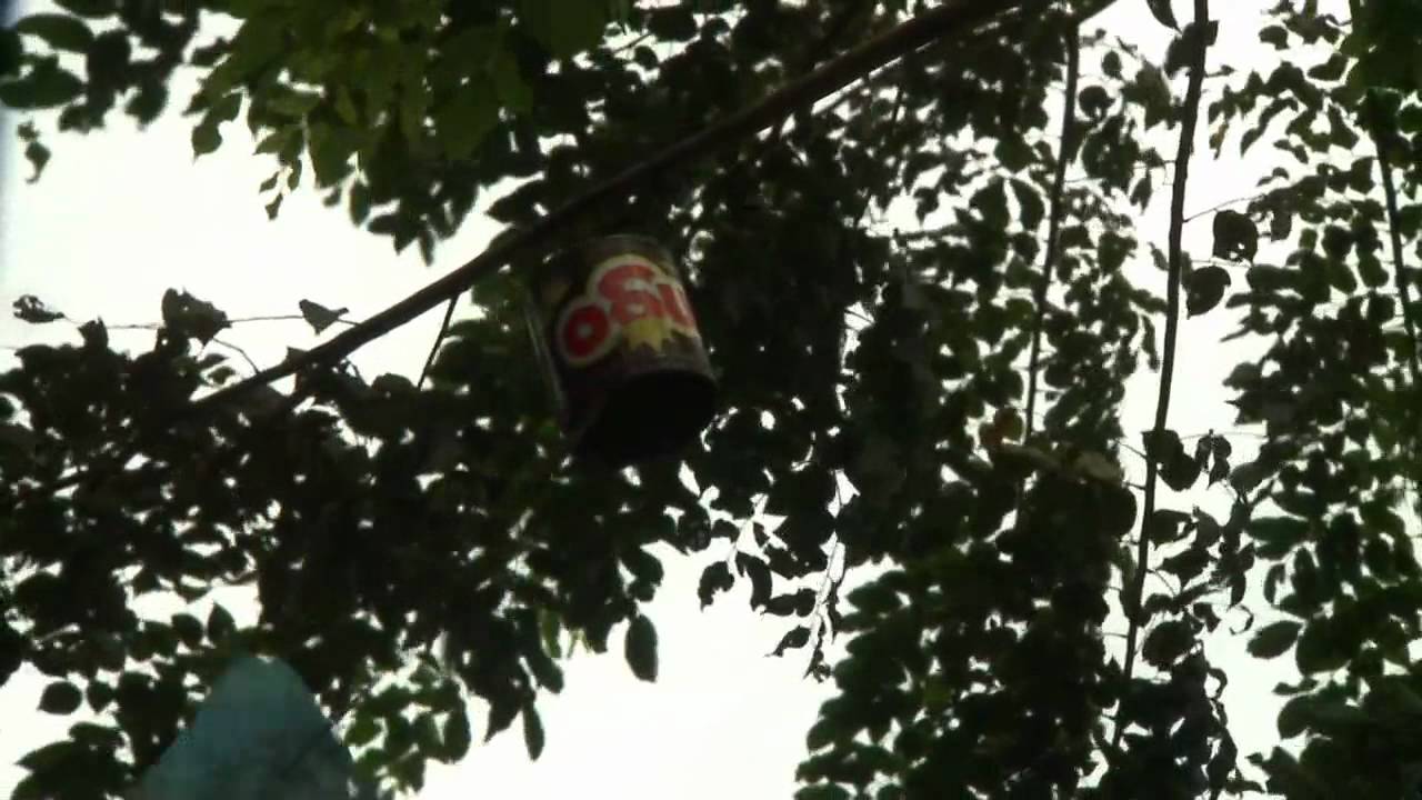 Trailer Naga Yang Berjalan Di Atas Air