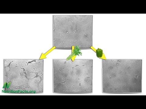 Breast Cancer Survival Vegetable