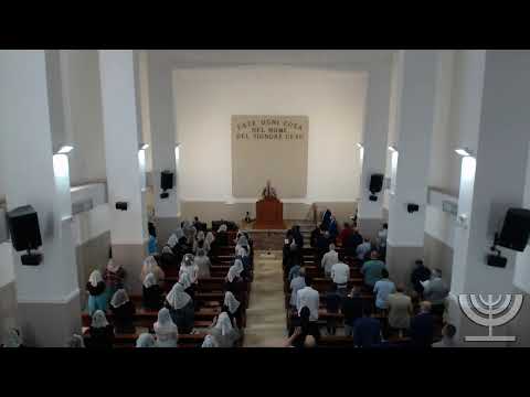 2020-06-07 Domenica Mattina - Fr Mondello - Fr Gemelli Geremia cap 15 ver 15