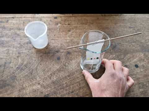 Paper Chromatography Full Experiment Including Calculating Rf Values Science4Breakfast GCSE Science