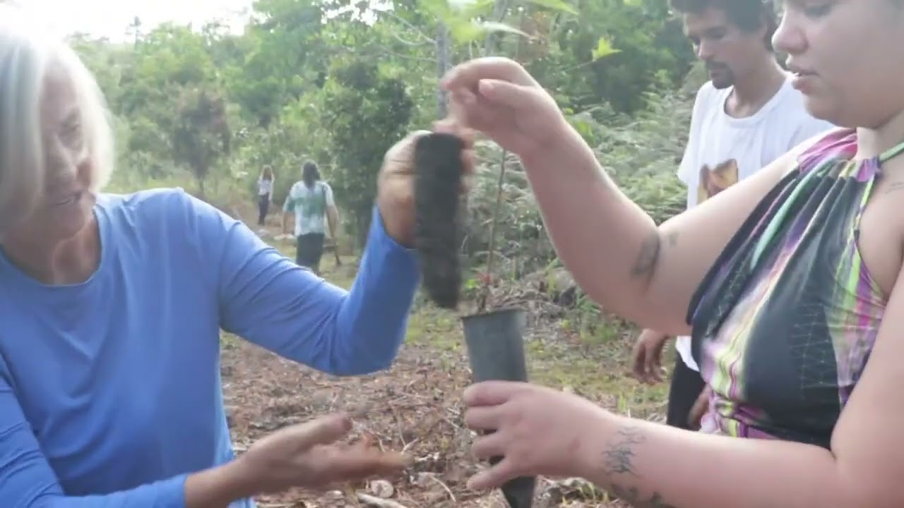 Conheça o Sítio Brilha Yewá — vídeo