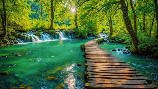 Beautiful Relaxing Music - Stop Overthinking, Stress Relief Music, Sleep Music, Calming Music #30