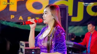 Download lagu D'RADJA CERTAINLY - WITHOUT A REASON - NILA NADA - WEDDING ILHAM & VITA - KEPUK BANGSRI JEPARA mp3