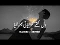 Bholeya Dil Kithy Kharaiey Slowed Reverb Song
