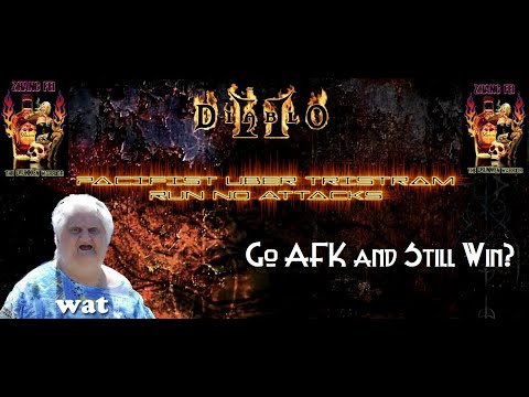 Diablo 2 Pacifist Uber Tristram Challenge No Attacks No Manual Spell Casts Run on Players 8