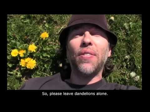 Leave the Dandelions Alone