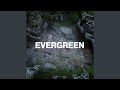 Evergreen