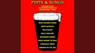 Biddy Mcgrath / The Wild Rover