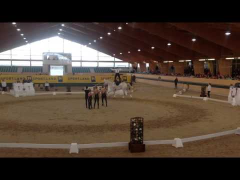 Gut Waffenschmiede 1 - Ebreichsdorf 2016