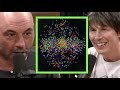 Brian Cox Explains Quark Gluon Plasma To Joe Rogan