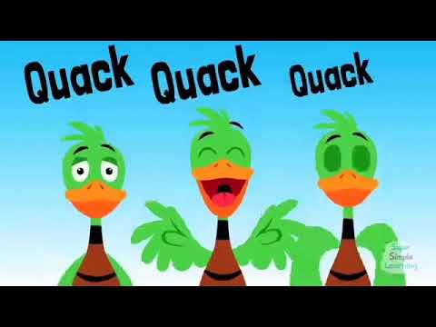 The Animals ON The Farm Reversed